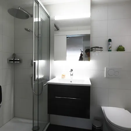 Adler 85 Apartment Leukerbad